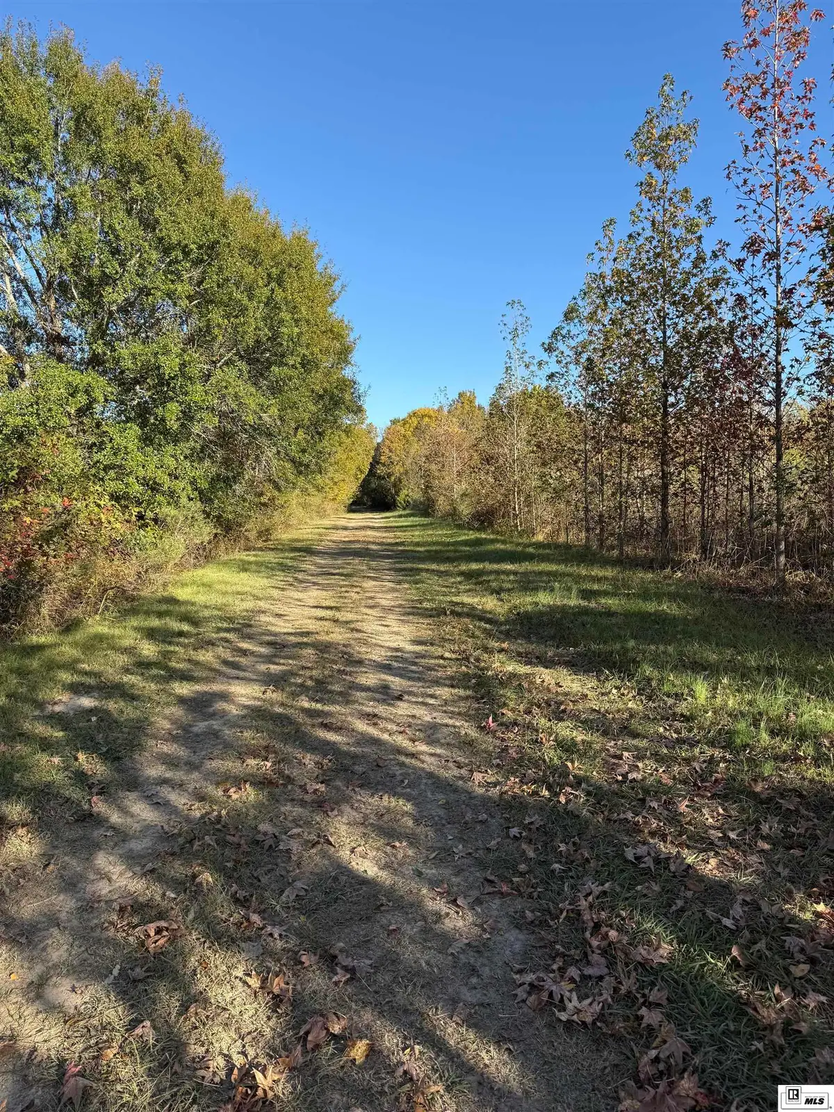 000 Thomas Road, Rayville, LA 71269-9999 - Image #1