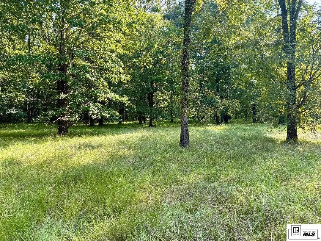 00 Loch Lomond Drive, Farmerville, LA 71254 - Image #1