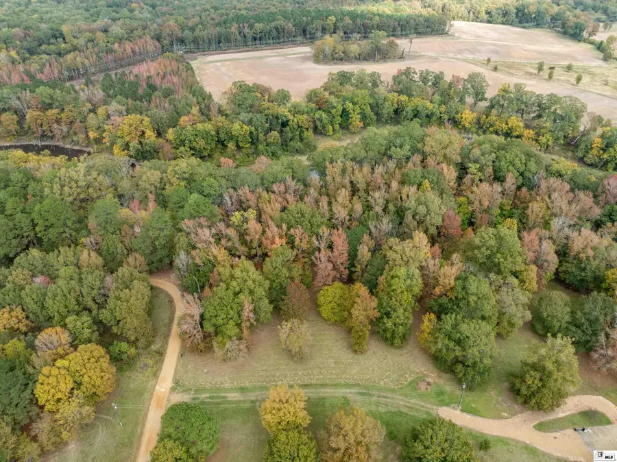 00 Loch Lomond Drive, Farmerville, LA 71254 - Image #2