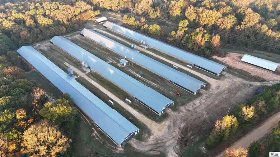 1034 Mccrary Road, Downsville, LA 71234 - Image #2