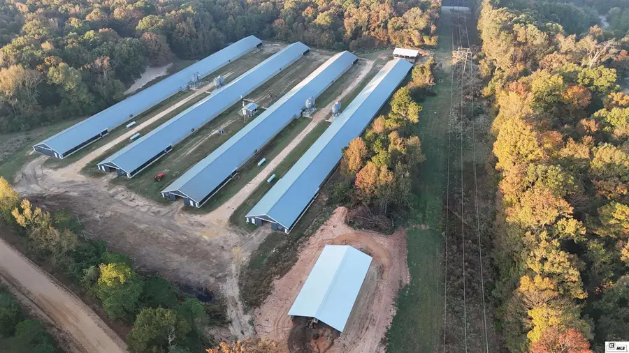 1034 Mccrary Road, Downsville, LA 71234 - Image #3