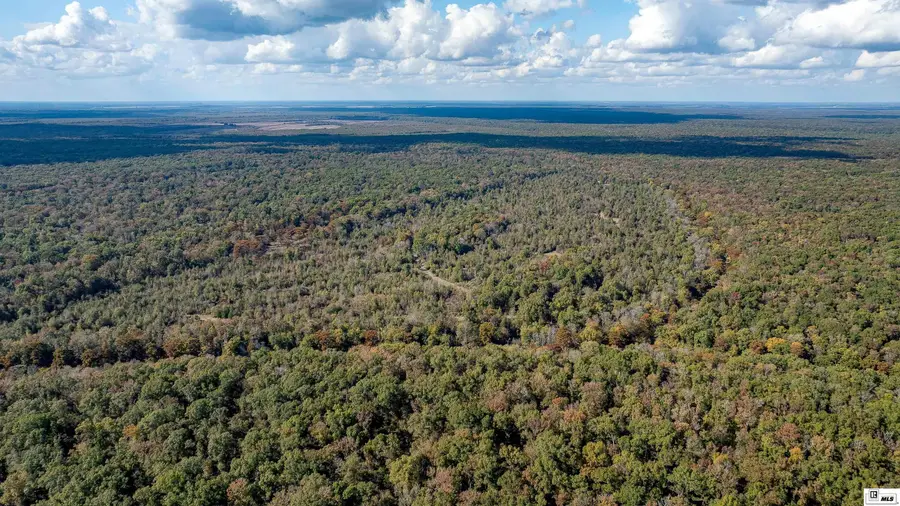 0 Sharkey Road, Newellton, LA 71357 - Image #3