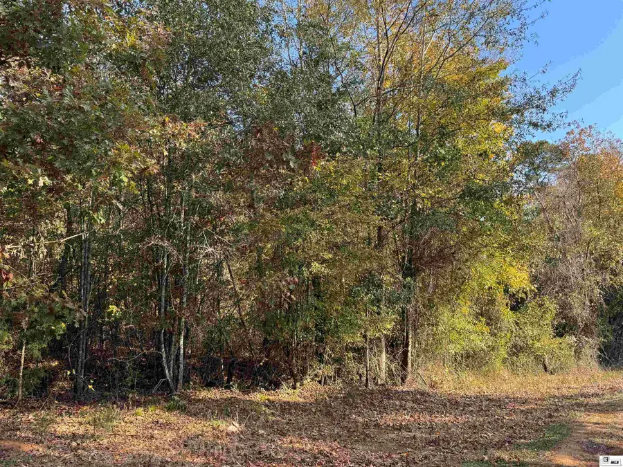 00 Highway 552, Downsville, LA 71234 - Image #2