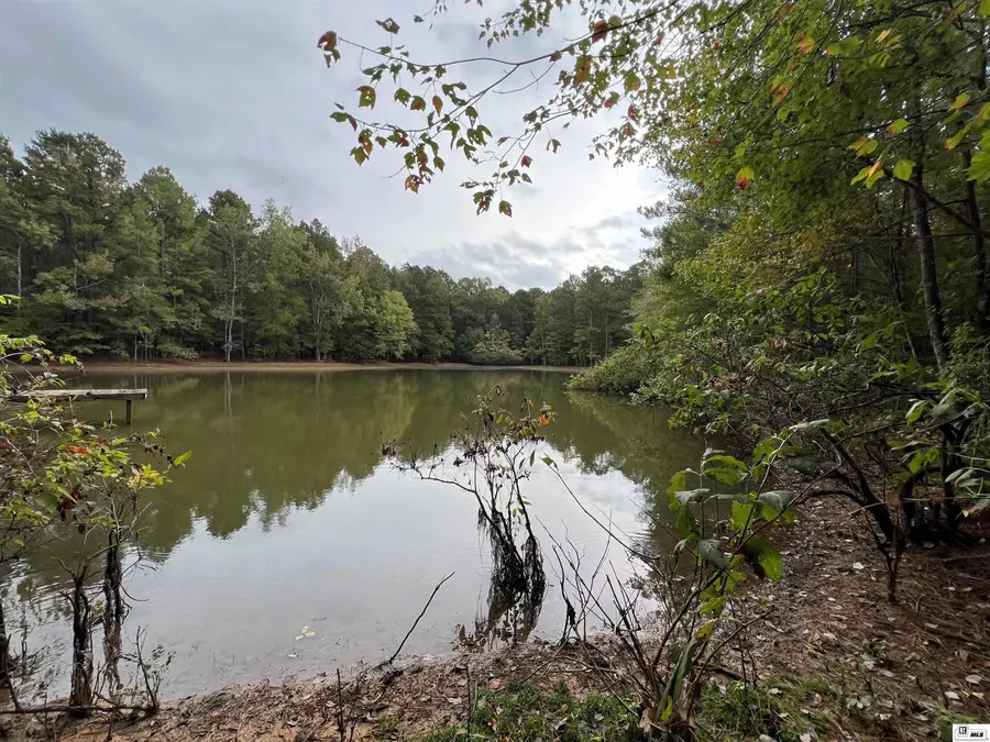 00 Highway 552, Downsville, LA 71234 - Image #3