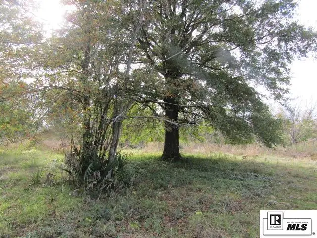 000 Highway 585, Rayville, LA 71269 - Image #1