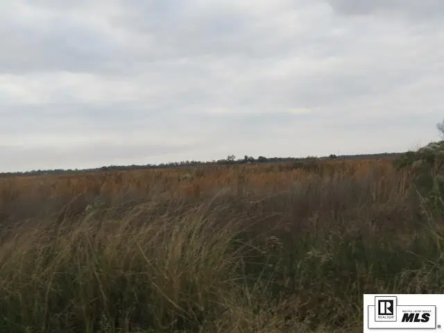 289 Caston Road, Rayville, LA 71269 - Image #1