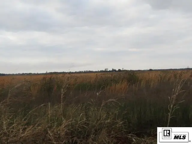 289 Caston Road, Rayville, LA 71269 - Image #2