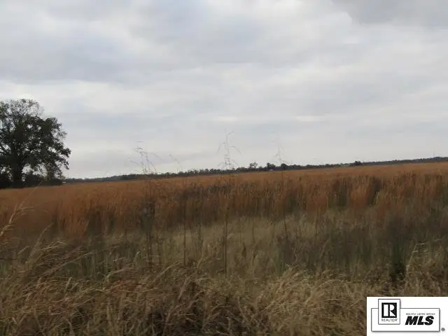 289 Caston Road, Rayville, LA 71269 - Image #3