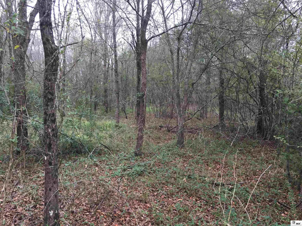 0 Prairie Road, Monroe, LA 71202 - Image #1