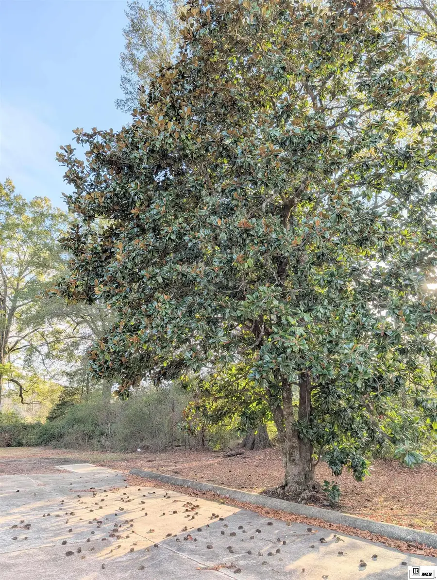 644 E Jefferson Avenue, Bastrop, LA 71221 - Image #3