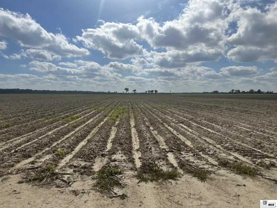 000 Seal Loop Road, Holly Ridge, LA 71269 - Image #3