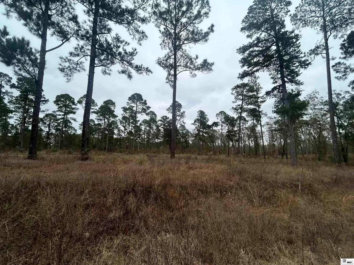 0 Caples Road, West Monroe, LA 71292 - Image #1