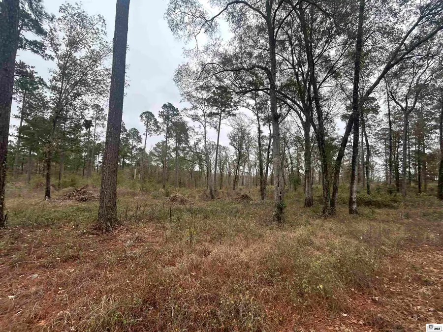 0 Caples Road, West Monroe, LA 71292 - Image #2