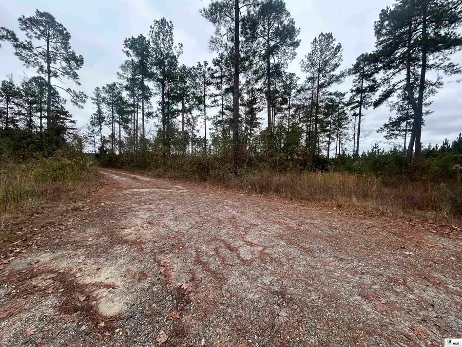 0 Caples Road, West Monroe, LA 71292 - Image #3