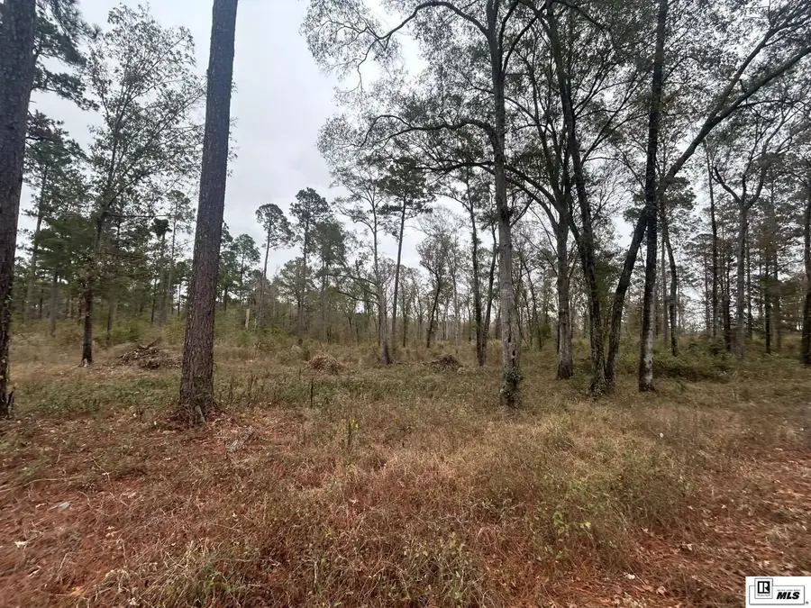 0 Caples Road, West Monroe, LA 71291 - Image #2