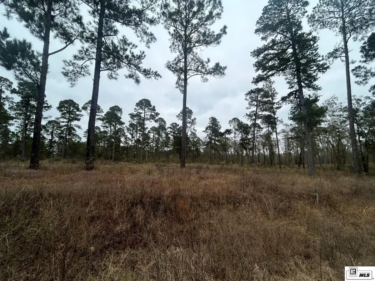 0 Caples Road, West Monroe, LA 71292 - Image #1