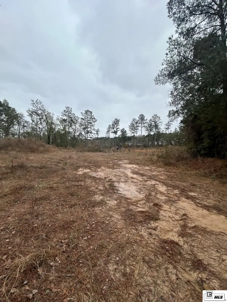 0 Cadeville Cutoff Road, West Monroe, LA 71292 - Image #3