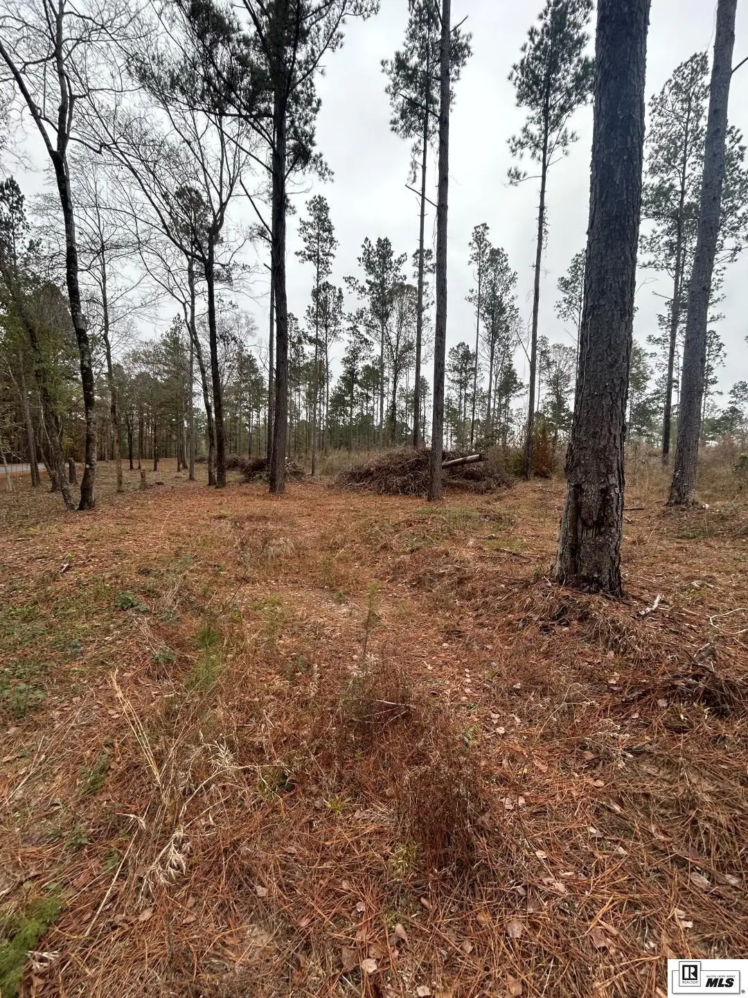 0 Cadeville Cutoff Road, West Monroe, LA 71292 - Image #1