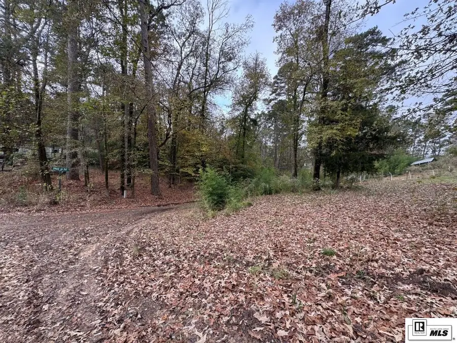 595 Swiftwater Lane, Farmerville, LA 71241 - Image #2