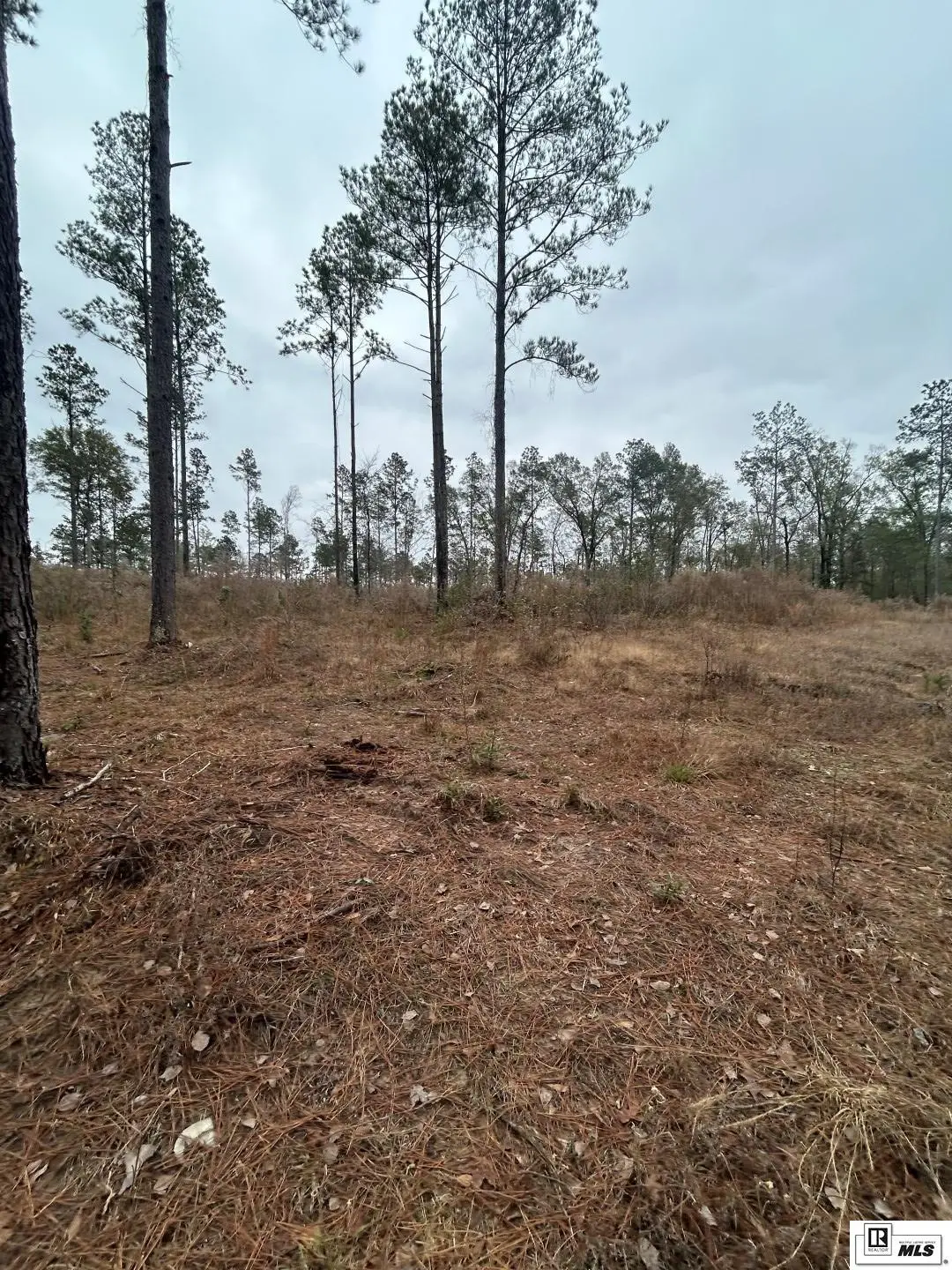 0 Cadeville Cutoff Road, West Monroe, LA 71292 - Image #1