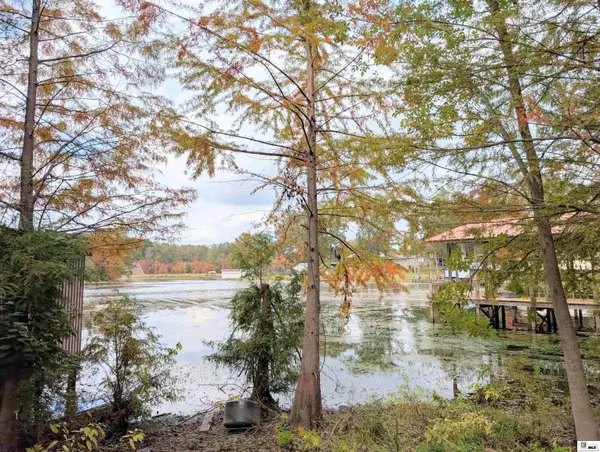 144 Bella Vista Loop, Homer, LA 71040