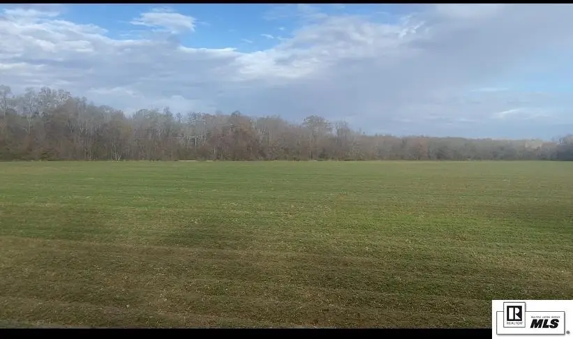 00 Highway 132, Delhi, LA 71232 - Image #2