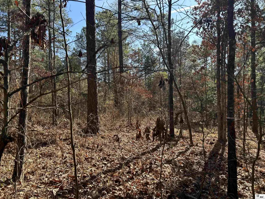 000 Dozier Road, Farmerville, LA 71241 - Image #2