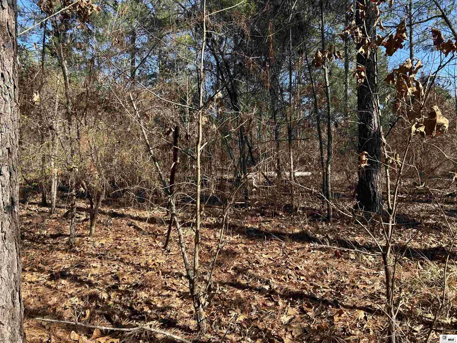 000 Dozier Road, Farmerville, LA 71241 - Image #3