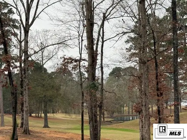 North Spillway Road, Farmerville, LA 71241-0000 - Image #3