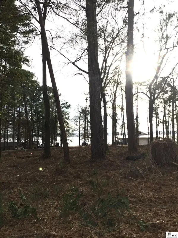 000 Wildwood Drive, Farmerville, LA 71241