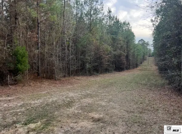 0 Longstraw Road, Choudrant, LA 71227