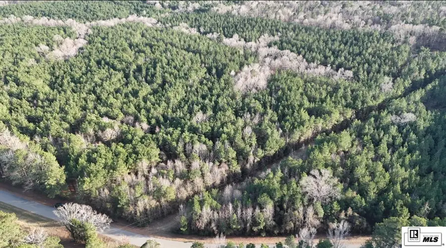 0 Longstraw Road, Choudrant, LA 71227 - Image #2