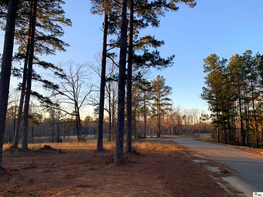 411 Lost Lakes Bend, West Monroe, LA 71291 - Image #3