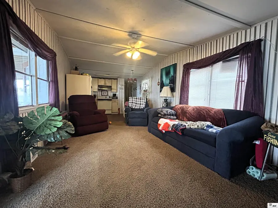 99 N Lakeview Drive, Farmerville, LA 71241 - #2