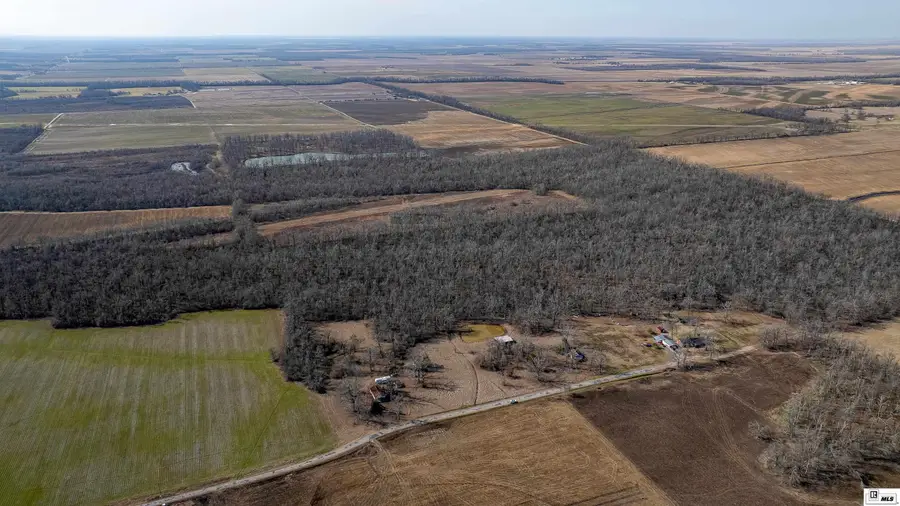 377 Mcpherson Road, Epps, LA 71238 - #2