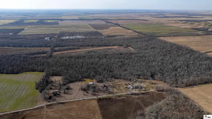 377 Mcpherson Road, Epps, LA 71238 - #3