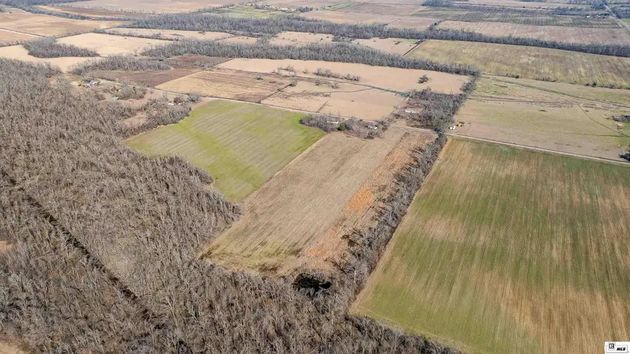 377 Mcpherson Road, Epps, LA 71238 - #2