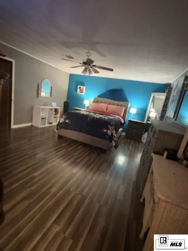 115 Riddle Lane, Lake Providence, LA 71254 - #3