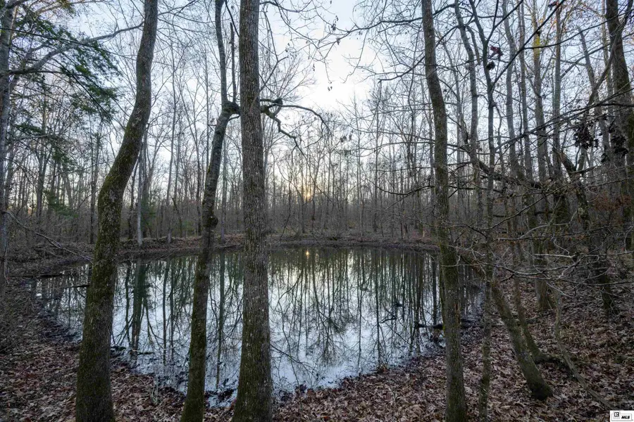 0 Highway 61, Fayette, LA 30969 - #3