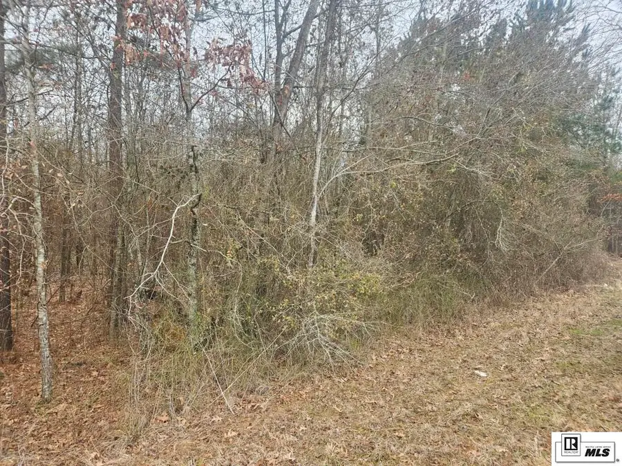 0 Highway 837, Calhoun, LA 71225 - #3