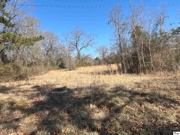 0 E Pecan Avenue, Bastrop, LA 71220