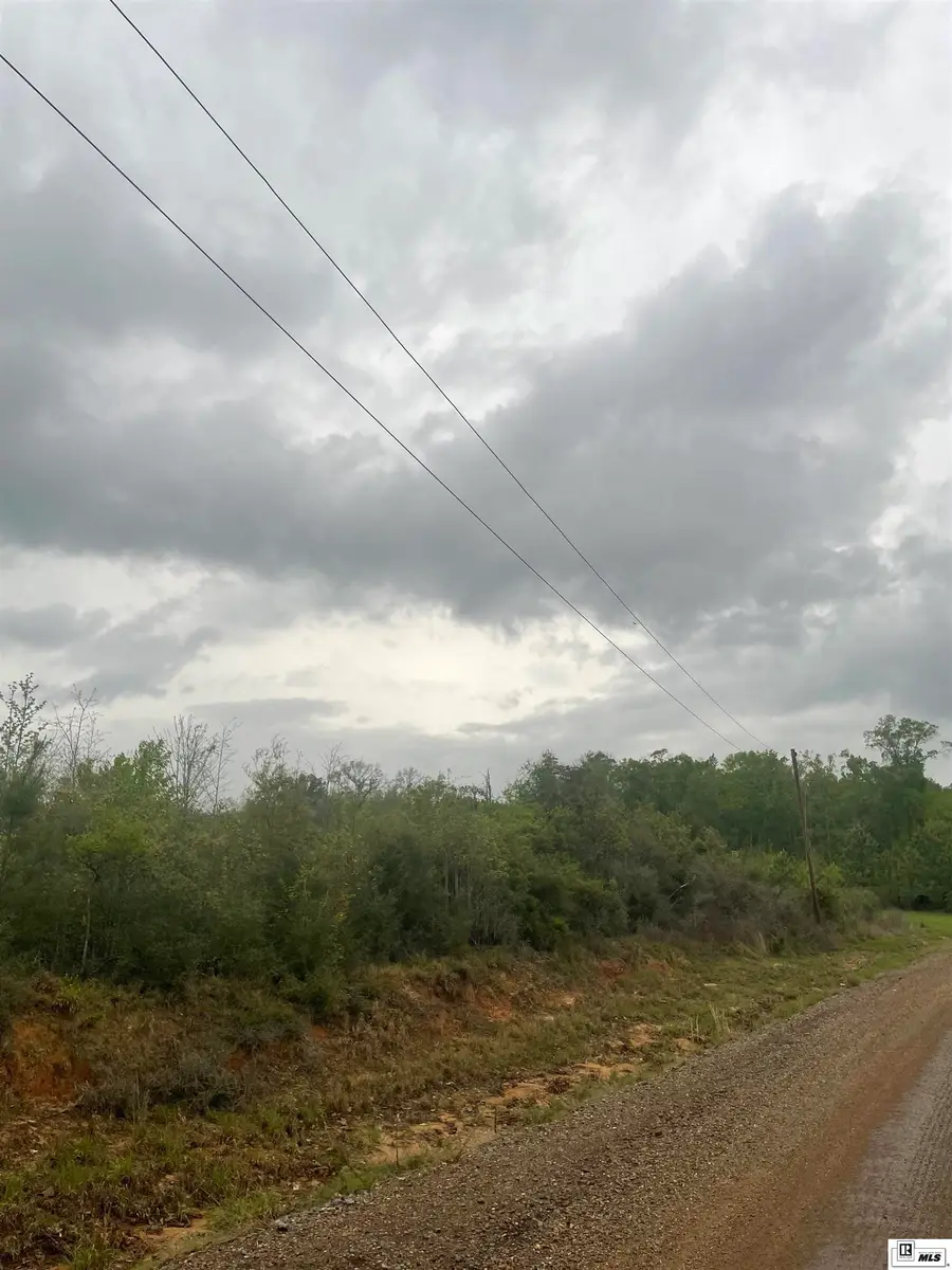 000 Babe Hoggro Road, Chatham, LA 71226 - #2