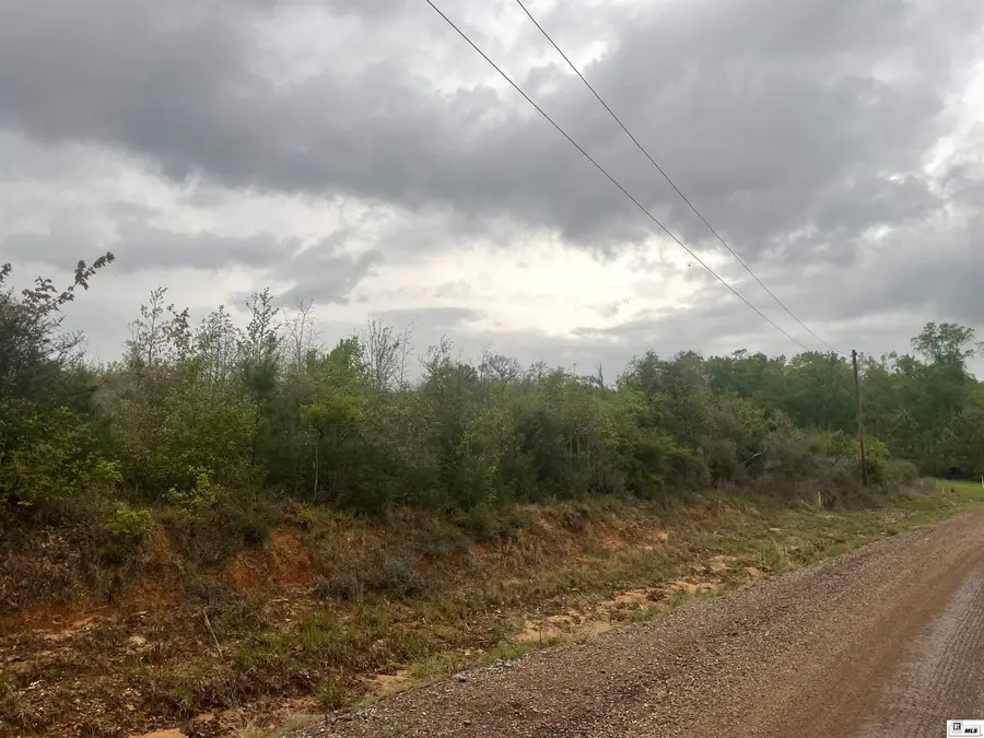 000 Babe Hoggro Road, Chatham, LA 71226 - #3