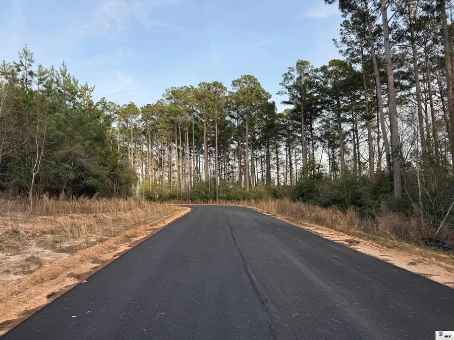 000 Pelican Pointe Drive, Jonesboro, LA 71251 - #3