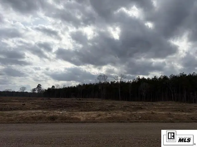 123 Sulphur Springs Road, Beekman, LA 71220 - #1