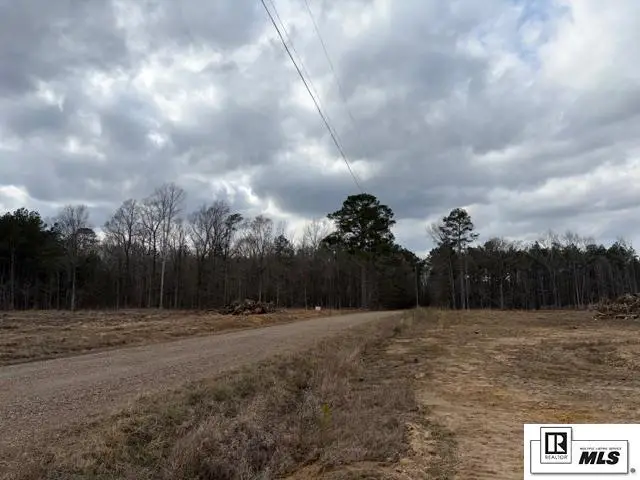 123 Sulphur Springs Road, Beekman, LA 71220 - #3