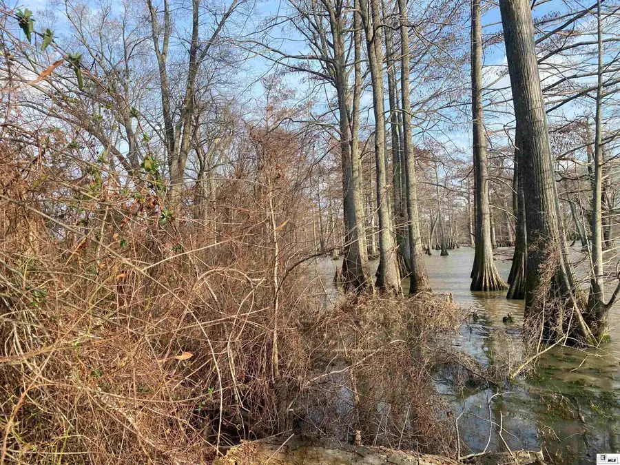 0 Bonne Idee Hideaway Road, Mer Rouge, LA 71261 - #2