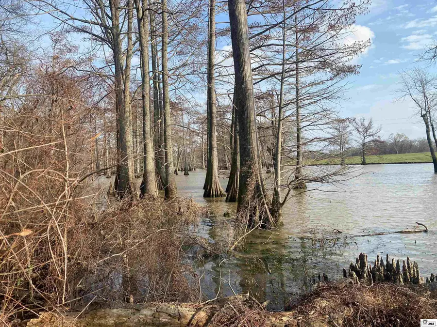 0 Bonne Idee Hideaway Road, Mer Rouge, LA 71261 - #3