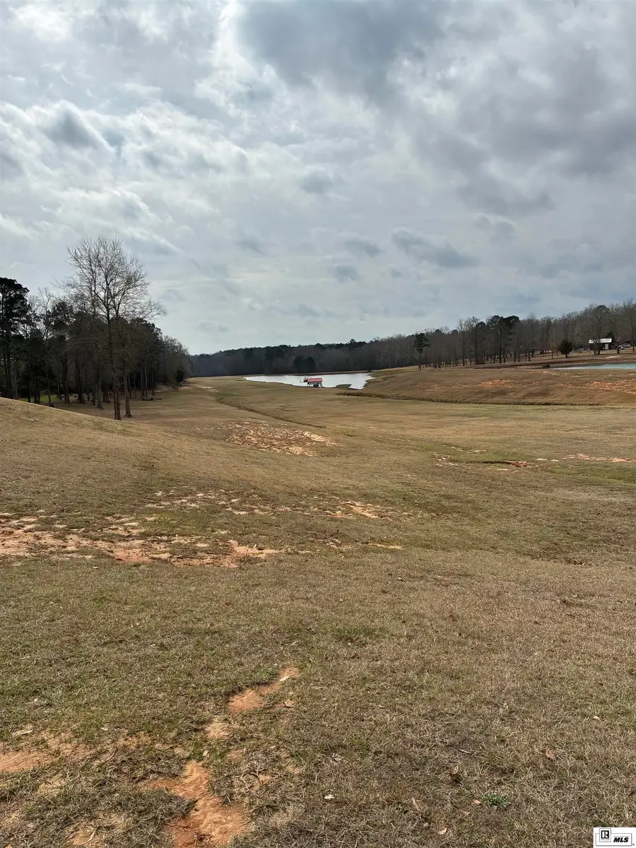 Oak Tree Road, Choudrant, LA 71227 - #3