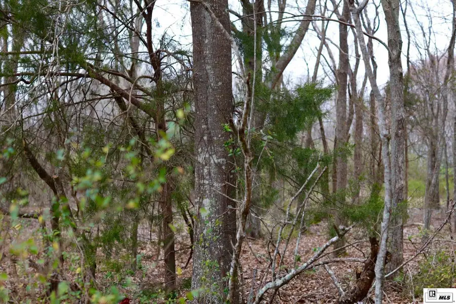 0 Highway 562, Wisner, LA 71378 - #3